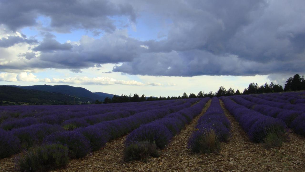 La Maison Bleue Sault-de-Vaucluse Bagian luar foto
