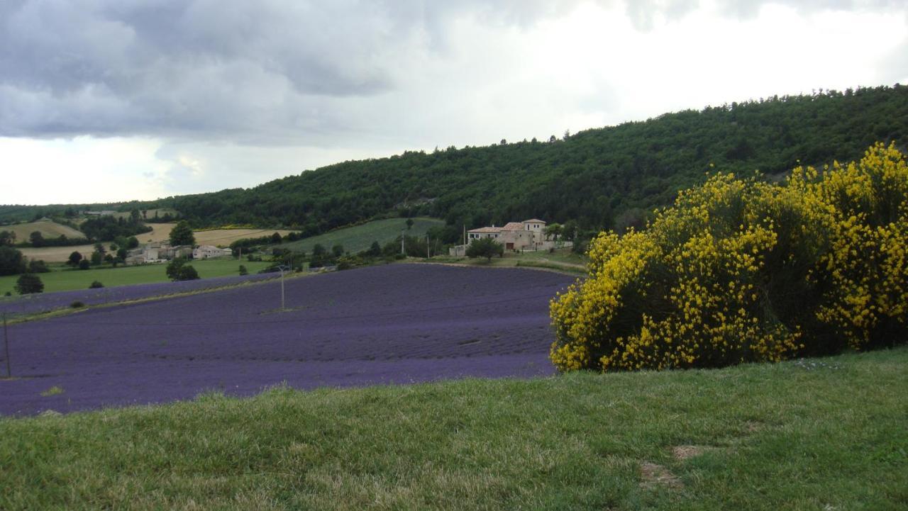 La Maison Bleue Sault-de-Vaucluse Bagian luar foto
